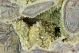 Yellow Crystal Filled Septarian Geode - Utah #94404-1